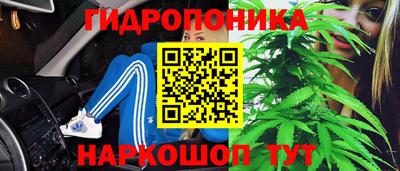 гашиш Аргун