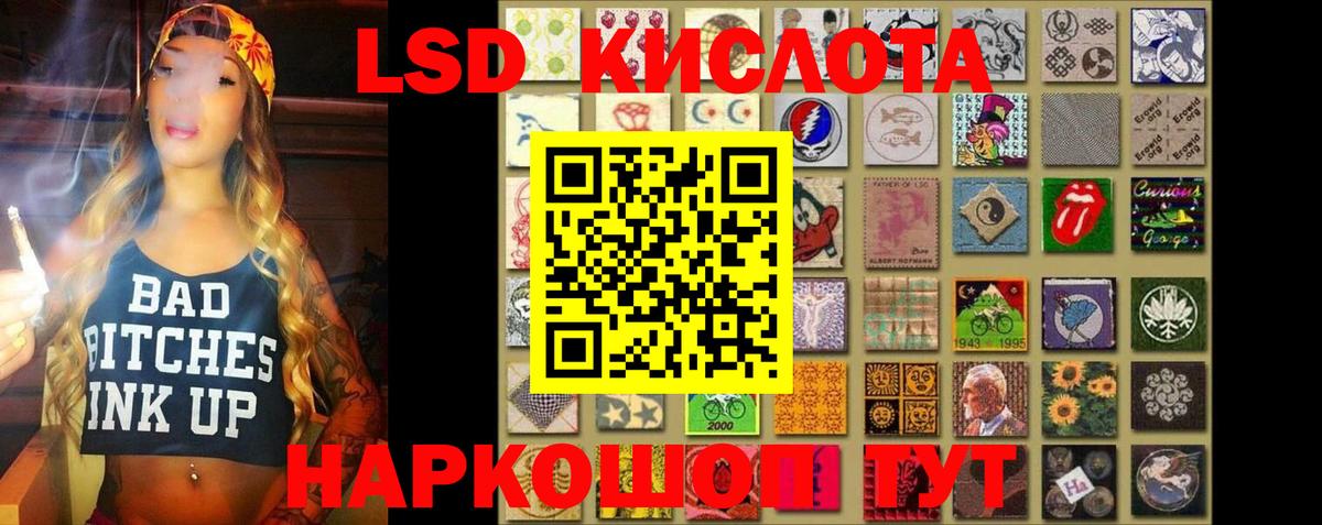 A-PVP Архангельск