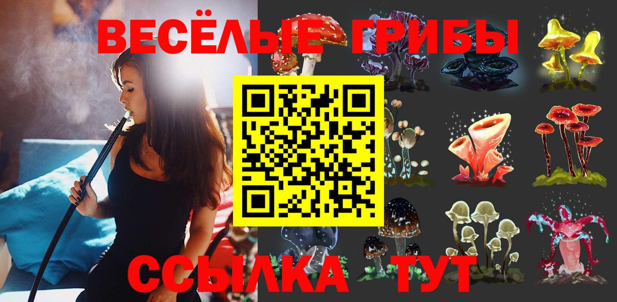Псилоцибиновые грибы Psilocybine cubensis Архангельск