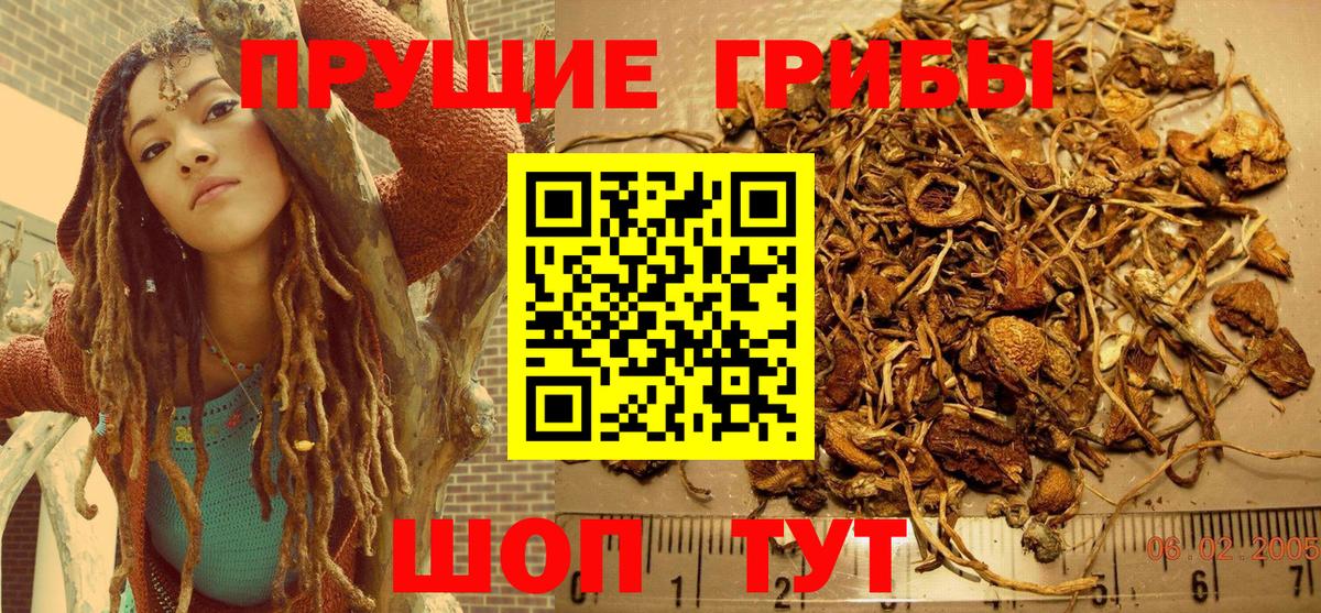 Галлюциногенные грибы GOLDEN TEACHER  Архангельск 