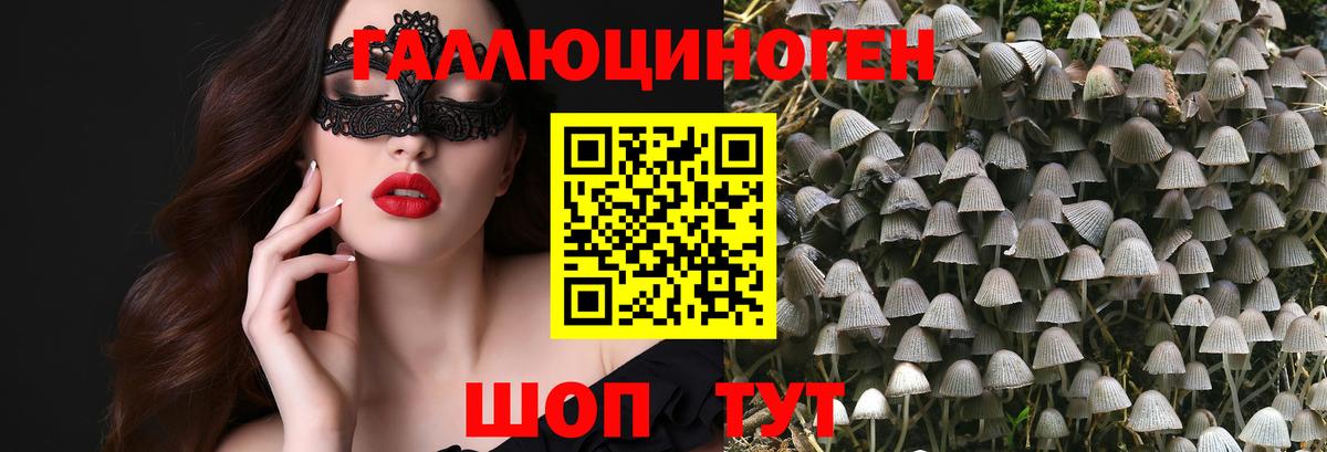 Псилоцибиновые грибы Psilocybine cubensis Архангельск